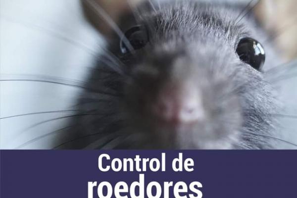 Control de  Roedores